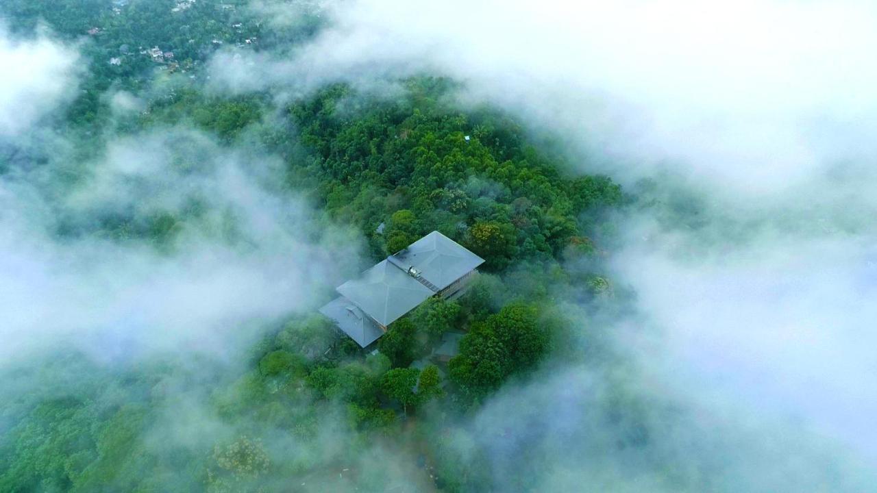 Elephant Passage Munnar Extérieur photo Aerial view of the house