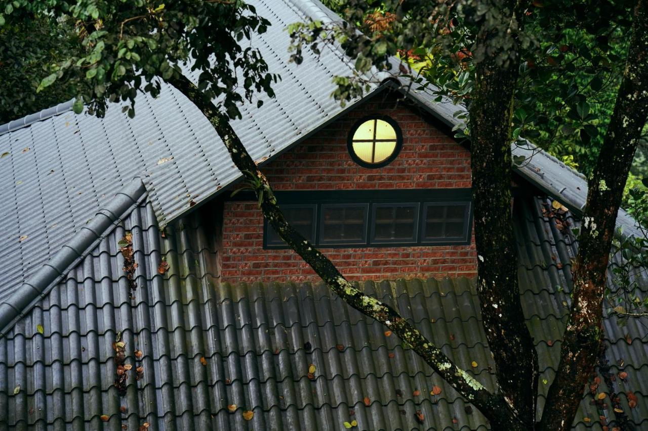 Elephant Passage Munnar Extérieur photo A roof with a dormer window